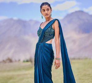Saree Gown